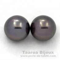 Lotto di 2 Perle di Tahiti Rotonda C 12.2 mm