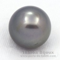 Perla di Tahiti Rotonda C 14.3 mm