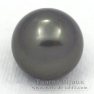 Perla di Tahiti Rotonda C 13 mm