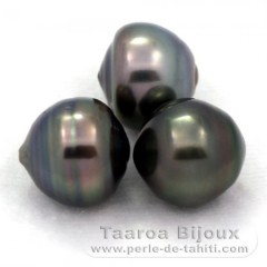 Lotto di 3 Perle di Tahiti Cerchiate C di 12 a 12.3 mm
