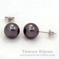 Orecchini in Oro bianco 18K e 2 Perle di Tahiti Rotonda B 8.4 mm