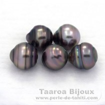 Lotto di 5 Perle di Tahiti Cerchiate C di 8.5 a 8.8 mm