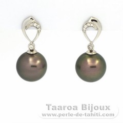 Orecchini in Argento e 2 Perle di Tahiti Rotonda C 11 mm