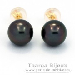 Orecchini in Oro 18K e 2 Perle di Tahiti Rotonda C 8.1 mm