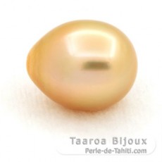 Perla de Australia Semi-Barocca C 12.5 mm