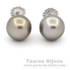 Orecchini in Argento e 2 Perle di Tahiti Rotonda C 10.5 mm