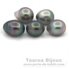 Lotto di 5 Perle di Tahiti Semi-Barroca B di 9 a 9.4 mm