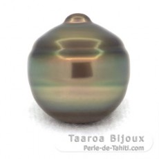 Perla di Tahiti Cerchiate C 14.7 mm