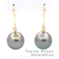 Orecchini in Oro 14K e 2 Perle di Tahiti Semi-Barroca B 9.5 mm
