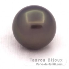 Perla di Tahiti Rotonda BC 12.6 mm
