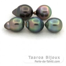 Lotto di 5 Perle di Tahiti Cerchiate B di 8.3 a 8.9 mm