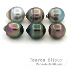 Lotto di 6 Perle di Tahiti Cerchiate B di 9.6 a 9.8 mm