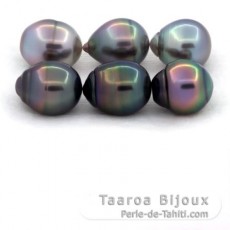 Lotto di 6 Perle di Tahiti Cerchiate B/C di 10.5 a 10.8 mm