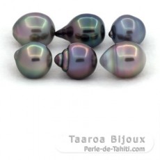 Lotto di 6 Perle di Tahiti Cerchiate B/C di 10 a 10.4 mm