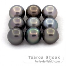 Lotto di 9 Perle di Tahiti Rotonde e Semi-Rotonde C di 8.6 a 8.9 mm