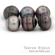 Lotto di 6 Perle di Tahiti Cerchiate B/C di 12 a 12.4 mm