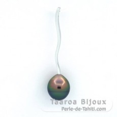 Ciondolo in Argento e 1 Perla de Tahiti Cerchiata B 9.2 mm