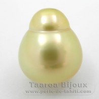 Perla de Australia Semi-Barocca B 12.5 mm