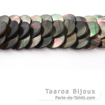 Tahiti madreperla braccialetto - Lunghezza = 21 cm