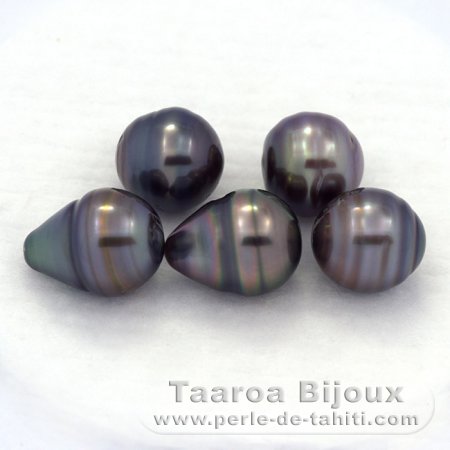 Lotto di 5 Perle di Tahiti Cerchiate C di 9.6 a 9.8 mm
