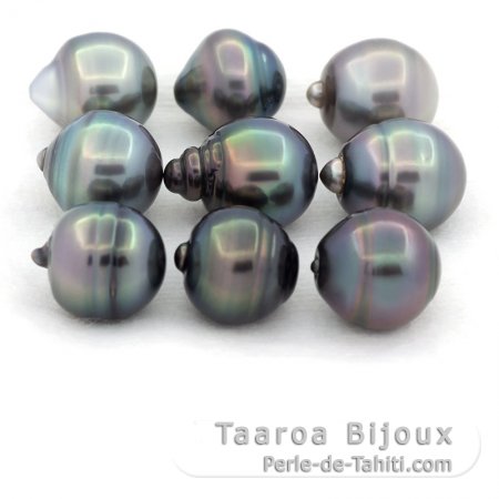 Lotto di 9 Perle di Tahiti Cerchiate C di 11 a 11.4 mm