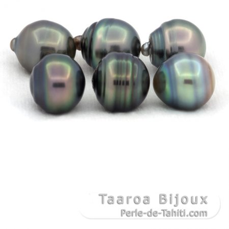 Lotto di 6 Perle di Tahiti Cerchiate C di 12 a 12.3 mm
