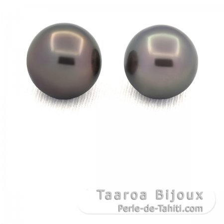 Lotto di 2 Perle di Tahiti Rotonde C/D 12.8 mm