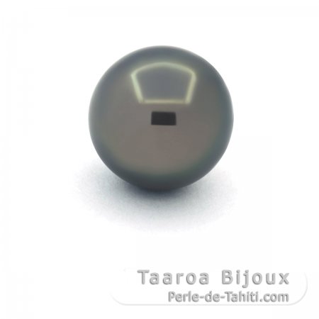 Perla di Tahiti Rotonda C 12.9 mm
