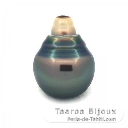 Perla di Tahiti Cerchiata B/C 12 mm
