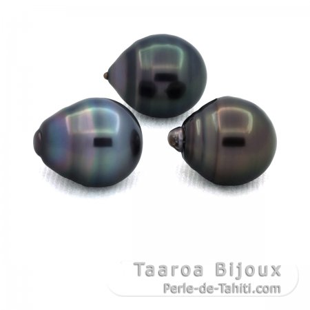 Lotto di 3 Perle di Tahiti Cerchiate C di 11.3 a 11.4 mm