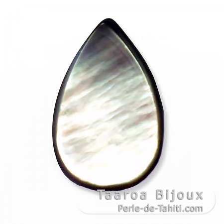 Forma goccia in Madreperla di Tahiti - 24 x 15 mm
