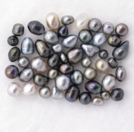 Lotto di 50 Keihi di Tahiti - 4.2 gr