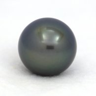 Perla di Tahiti Rotonda B 14.3 mm