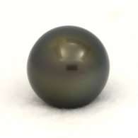 Perla di Tahiti Rotonda C 14.8 mm