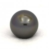 Perla di Tahiti Rotonda C 14.6 mm