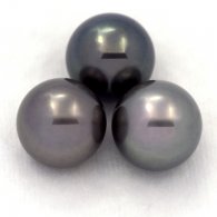 Lotto di 3 Perle di Tahiti Rotonde C di 11.6 a 11.9 mm