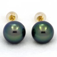 Orecchini in Oro 18K e 2 Perle di Tahiti Rotonde C+ 9.9 mm