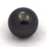 Perla di Tahiti Rotonda C 14.8 mm