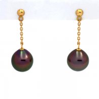 Orecchini in Oro 18K e 2 Perle di Tahiti Semi-Barocche A 9.1 mm