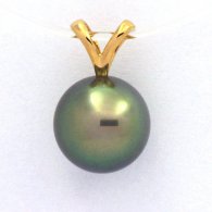 Ciondolo in Oro 18K e 1 Perla di Tahiti Rotonda B+ 10.1 mm