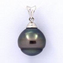 Ciondolo in Argento e 1 Perla di Tahiti Cerchiata B 13.1 mm