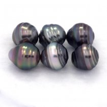 Lotto di 6 Perle di Tahiti Cerchiate C di 8.5 a 8.6 mm