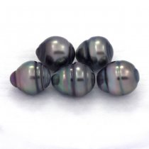 Lotto di 5 Perle di Tahiti Cerchiate C di 8.5 a 8.8 mm