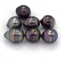 Lotto di 7 Perle di Tahiti Cerchiate C di 8 a 8.3 mm
