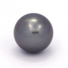 Perla di Tahiti Rotonda AB 14.2 mm