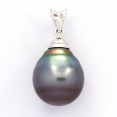 Ciondolo in Argento e 1 Perla di Tahiti Cerchiata C 12.8 mm