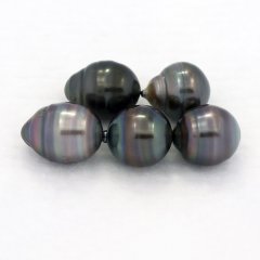 Lotto di 5 Perle di Tahiti Cerchiate C/D di 9.4 a 9.6 mm