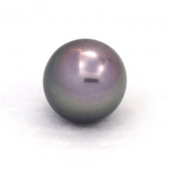 Perla di Tahiti Rotonda B 12.6 mm