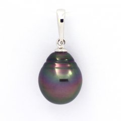 Ciondolo in Argento e 1 Perla de Tahiti Cerchiata B 11 mm