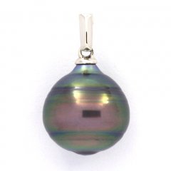 Ciondolo in Argento e 1 Perla de Tahiti Cerchiata C 12.8 mm